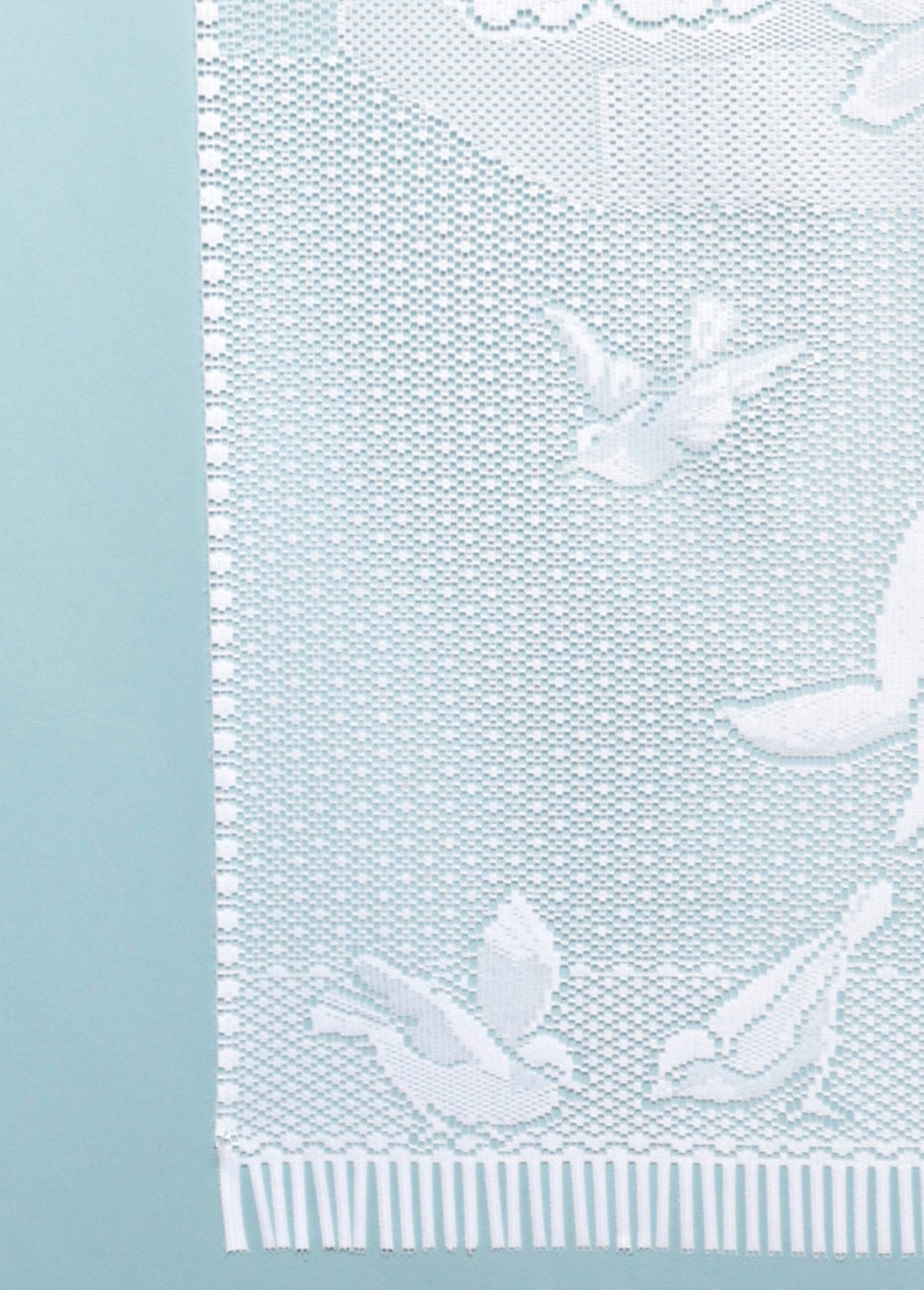 Pair_of_straight_lace_cat_windows_White_DE1_slim