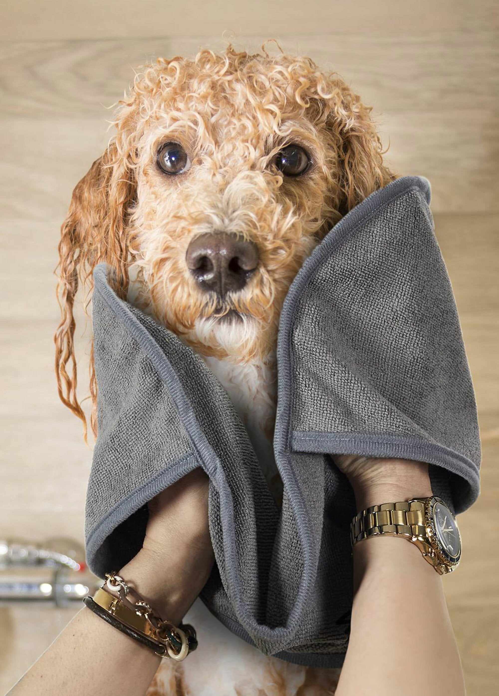 Serviette_absorbante_pour_animal_Gris_SF1_slim