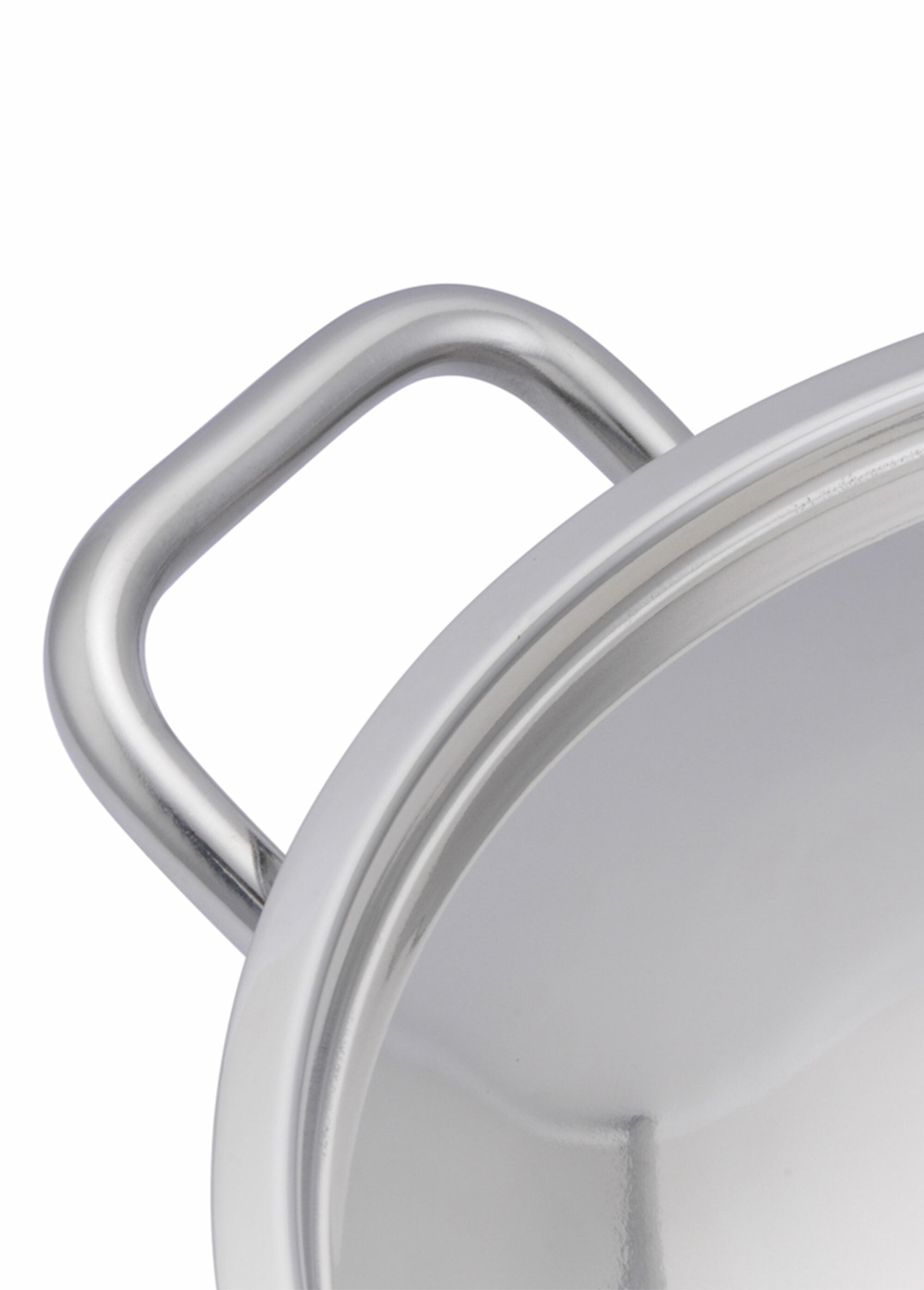 Stainless_steel_stewpot_32_cm_-_"Pro"_Silver_DE2_slim